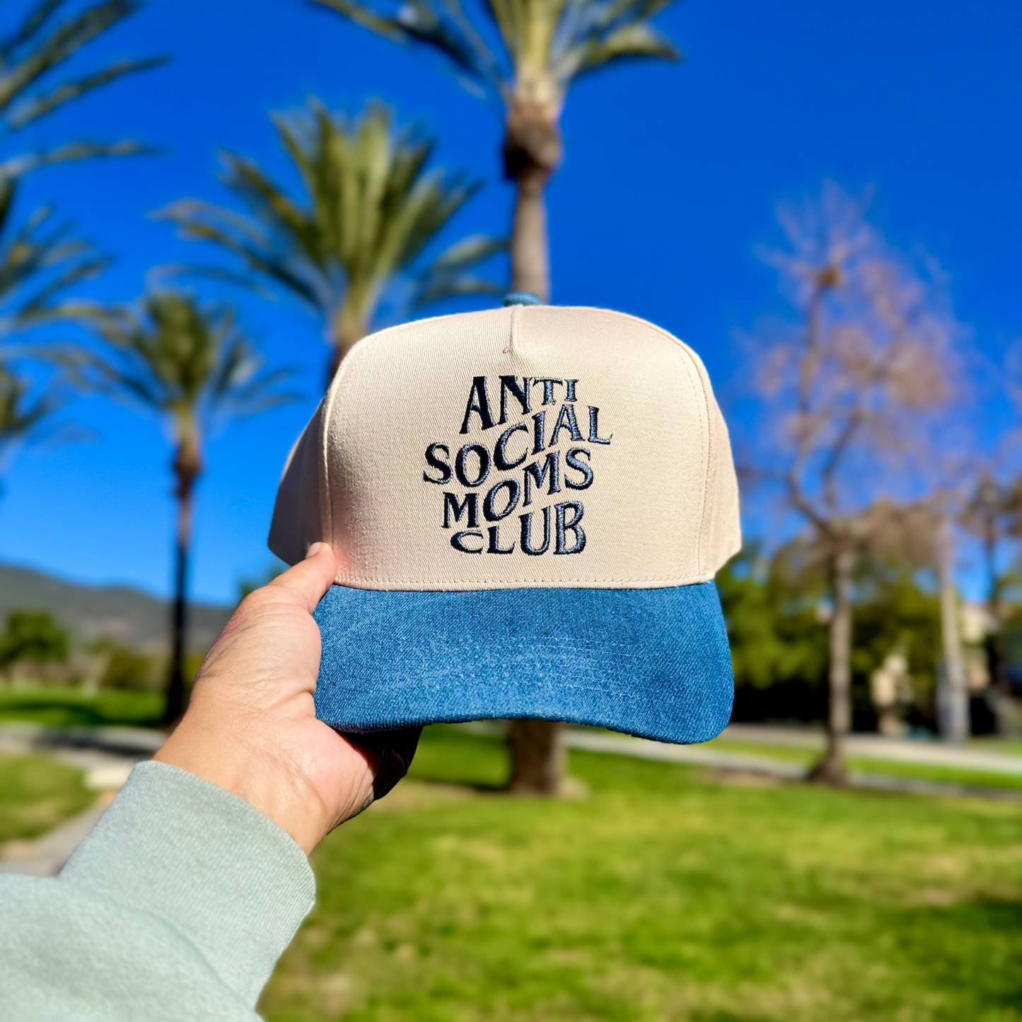 Antisocial Moms Club Hat